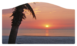 DASHELL-127 (Sunset) Footprints